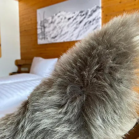 Apartment H Montafon *